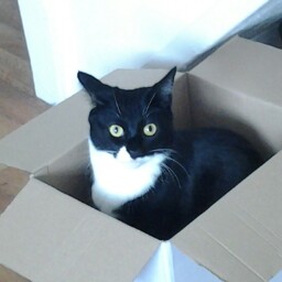 Janice Shaw Photo 29