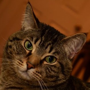 Jill Fortney Photo 6