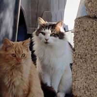 Charlene Martin Photo 27 Charlene Martin Photo 27