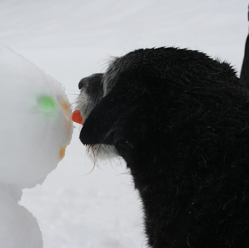 Chris Robson Photo 35 Chris Robson Photo 35