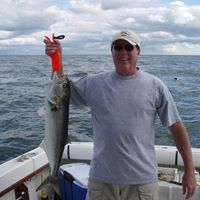 Don Mcintosh Photo 20