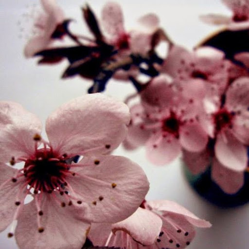 Amanda Smart Photo 9