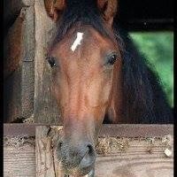 Kristie Callis Photo 3