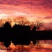Jan Bonner Photo 23