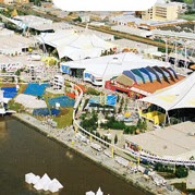 Tammy Stevenson Photo 31