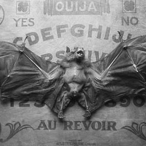 Lisa Steele Photo 19