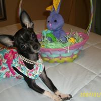 Minnie Taylor Photo 19