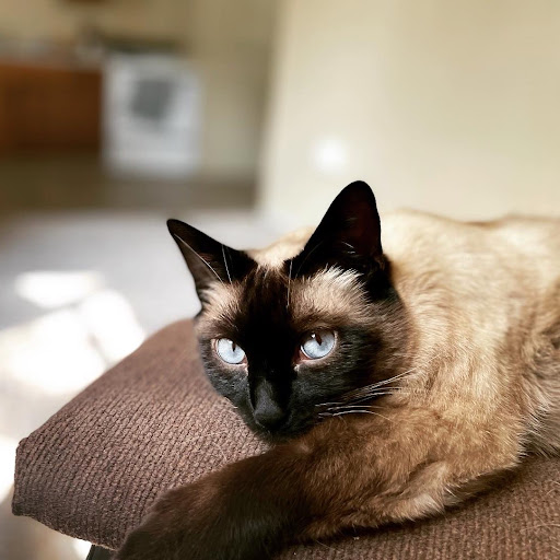 Ricardo Ayala Photo 44