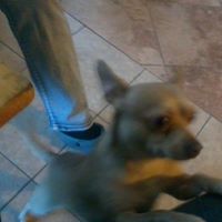 Lynda Robinson Photo 23 Lynda Robinson Photo 23