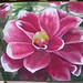 Debra Dye Photo 11