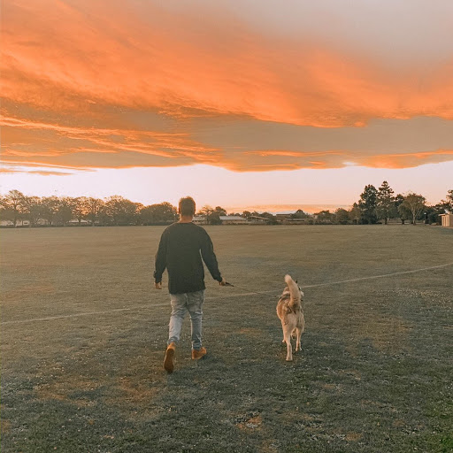 Andre Gibson Photo 33