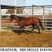 Michelle Callaghan Photo 18