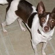 Roberta Cline Photo 19