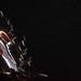 Elizabeth Larson Photo 7