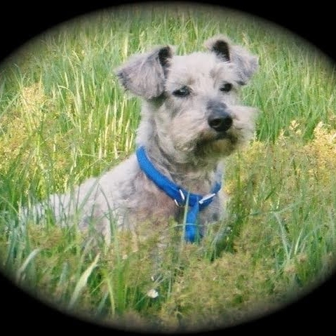 Susan Anson Photo 4