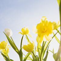 Kathleen Heller Photo 27