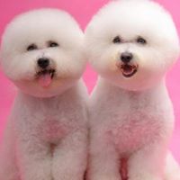 Phyllis Becker Photo 19