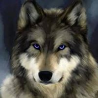 Steve Gebhart Photo 14