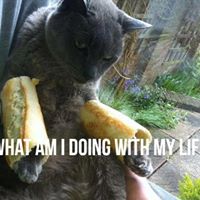 Daniel Flood Photo 46