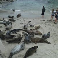 Carol Calhoun Photo 24