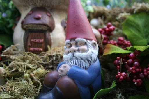 Mary Ferguson Photo 27 Mary Ferguson Photo 27