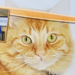 Jennifer Addington Photo 14