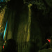 Jesse Munger Photo 9