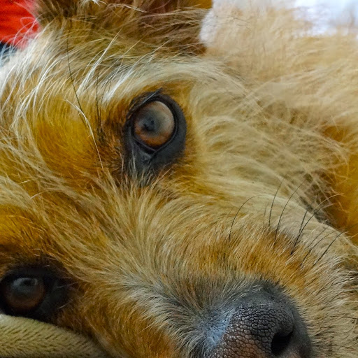 Sara Mcdermott Photo 30