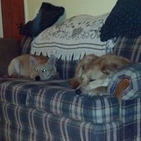 Linda Daugherty Photo 30