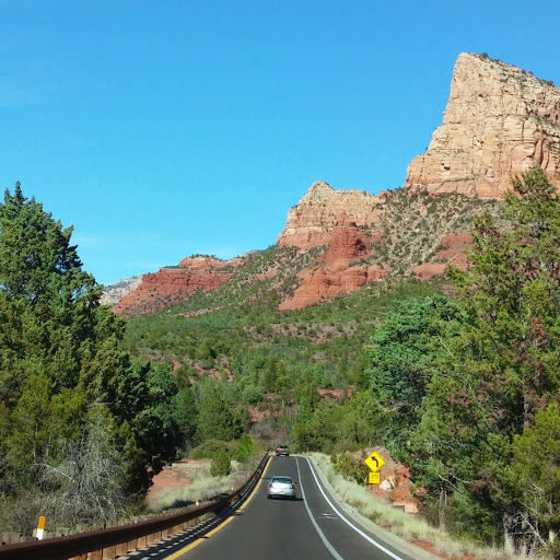 Darryl Adams Photo 22