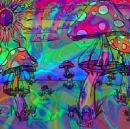 Chasity Neal Photo 3