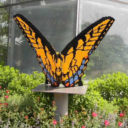 Diana Tuttle Photo 25