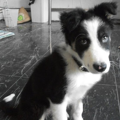 Linda Foreman Photo 14