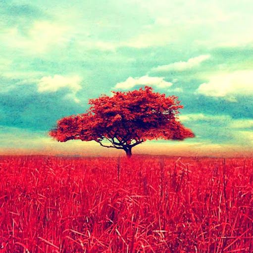 Denise Reyes Photo 24