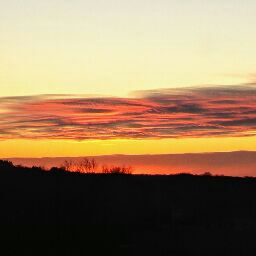 Denise Wisniewski Photo 5