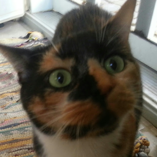 Renee Oliver Photo 32