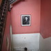 Alan Gibbs Photo 15