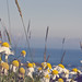 Andrew Whiting Photo 20