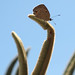Binh Tien Photo 14