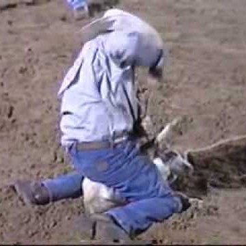 Lynn Matthews Photo 37