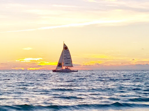 Janice Brooks Photo 16