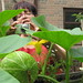 Judy Rushing Photo 26