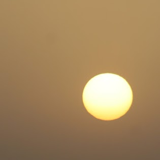 Concepcion Gomez Photo 26