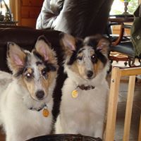 Susan Burrow Photo 8