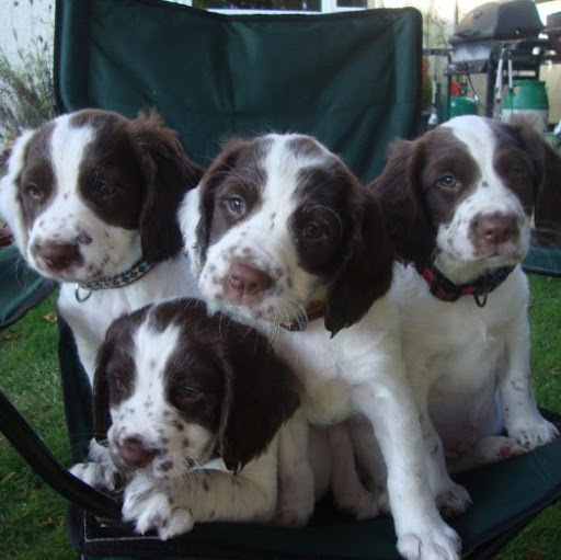 Janet Fraser Photo 6 Janet Fraser Photo 6