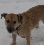 Jacob Epstein Photo 27 Jacob Epstein Photo 27