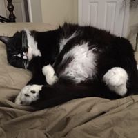 Cheryl Mccarty Photo 4