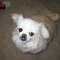 Dolores Pierce Photo 7