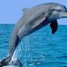 Ruth Jamison Photo 6