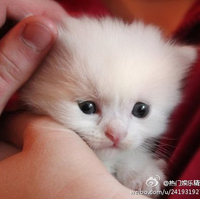 Judy Fu Photo 21
